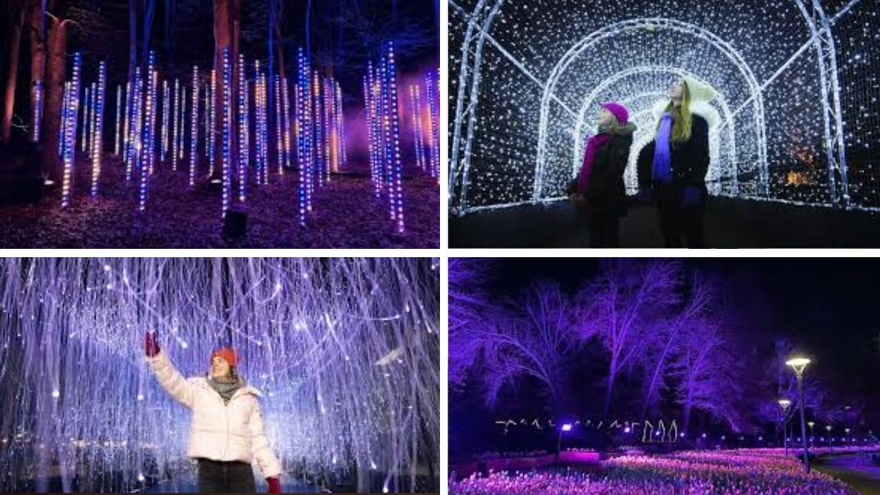 winter-light-festivals-illuminating-londons-nights