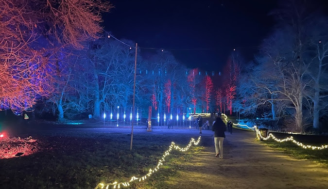 Windsor Great Park Illuminated